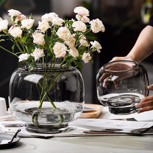 Vase nordique simple en verre transparent, arrangement de fleurs hydroponiques pour la décoration de table de salon - Product Image 3