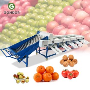 Machine de calibrage et de tri de fruits et légumes industrielle pour tomates, oignons, agrumes et jujubes, avec séchage intégré - Product Image 1