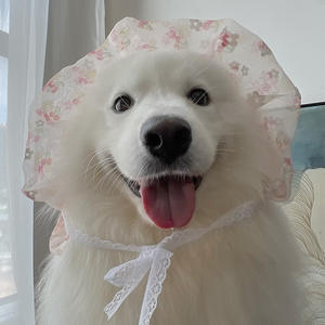 Ropa para Perros, Falda de Algodón Informal con Dibujos Animados para Invierno, Primavera, Verano y Otoño, Anti-Pelusas, para Perros Medianos/Grandes - Product Image 6