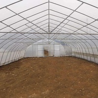 Serre Tunnel Avicole Monosapn Facile à Installer pour Élevage de Poulets de Ferme en Arrière-cour