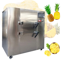 Industriële magnetron droogmachine voor de productie van holly, coco, baobab en palmolie in landbouwbedrijven en fabrieken.