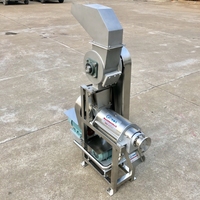 Spiraalvormige commerciële fruitsapmachine motorlager roestvrij staal 2,2 kW 500 kg/uur capaciteit Hede merk