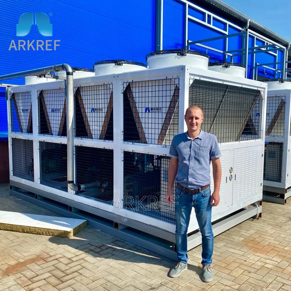 ARKREF 비저 콜드 룸 응축 장치 R744 압축기 CO2 냉동 시스템