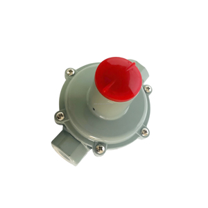 Regolatore di Pressione per Gas Naturale - Product Image 3