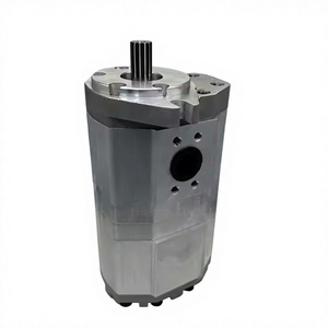 Eje estriado de aluminio ligero al por mayor, bomba hidráulica doble, piezas de repuesto hidráulicas para tractor y minicargadora - Product Image 4
