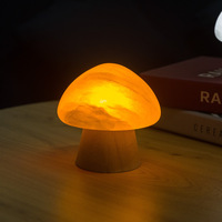 Lampu Gipsum Selenite Putih Ukiran Tangan Modern Minimalis Bentuk Hati Bunga Cinta Natal Feng Shui untuk Kamar Tidur Ruang Tamu Zen