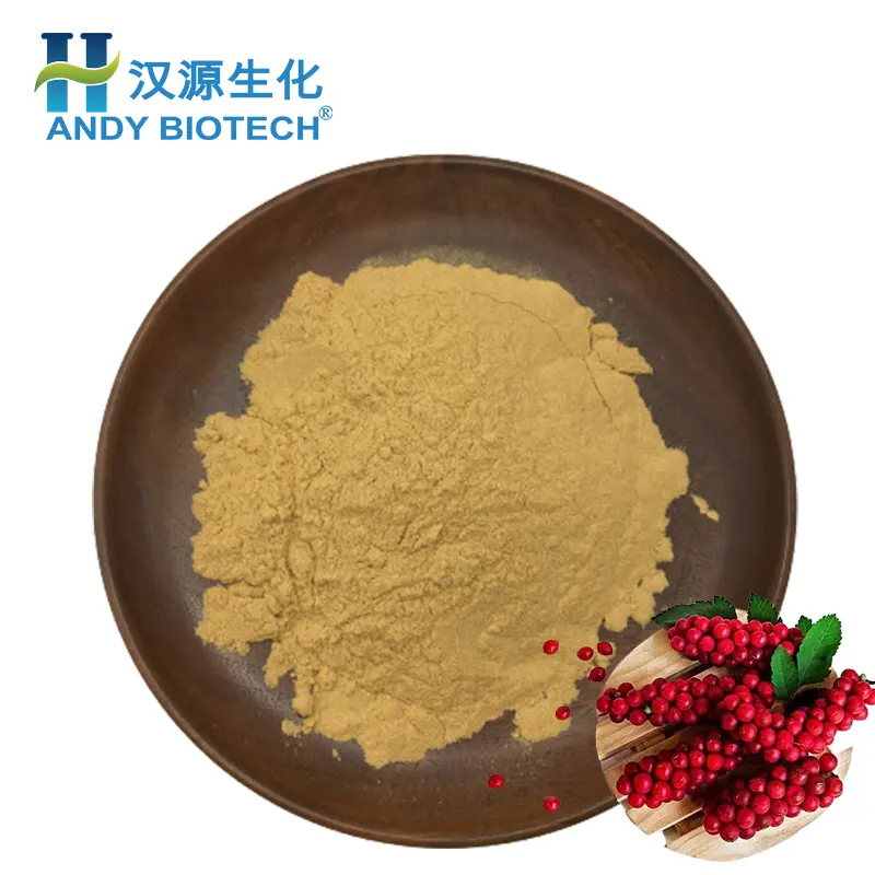 Giá bán buôn Cung cấp Schisandra Berries chiết xuất bột 2% schisandrin Schisandra chiết xuất từ quả