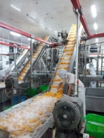Machine de transformation des fruits pour la mise en conserve : ligne complète pour la découpe en demi-tranches, le pelage, le tri, la calibrage et l'épilation des pêches