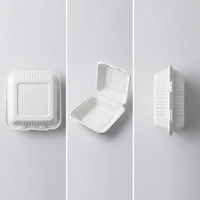 Contenitore per Pranzo in Bagassa da 9 Pollici, 100% Compostabile e Biodegradabile, per Asporto, Campeggio, Ristoranti e Catering
