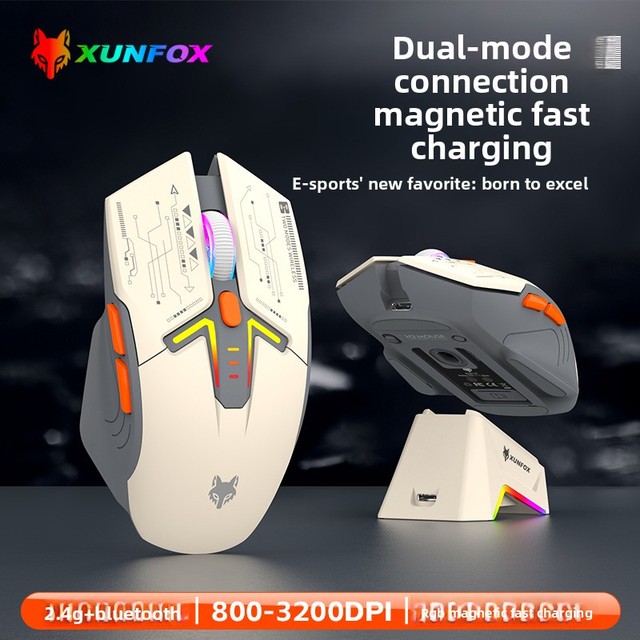 XUNFOX H2 Rechargeable RGB Backlit Mouse for Wireless Dual-Mode Lightweight PixArt 3200 Sensor 6 Buttons Programmable Gaming