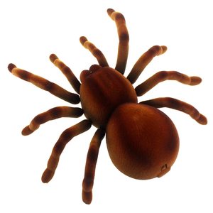Infrared <strong>Remote</strong> <strong>Control</strong> <strong>Spider</strong> Plastic Large Walking Insect IR Animal Simulation Toys RC <strong>Spider</strong> for Kids - Product Image 2