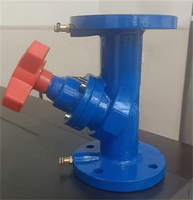 Válvula de Equilibrio Hidráulica con Bloqueo Digital, Válvula Reguladora de Flujo Estático, Válvula de Presión Diferencial Dinámica para Agua, Puerto de 4 Pulgadas