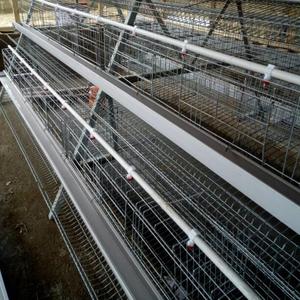Tratamiento <span class=keywords><strong>de</strong></span> agua Jaula automática para pollos Jaula <span class=keywords><strong>de</strong></span> acero para aves <span class=keywords><strong>de</strong></span> corral para uso doméstico y agrícola - Product Image 2
