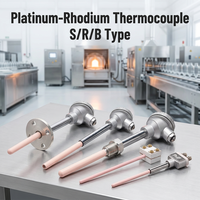 S/R/B Type Platinum Rhodium Thermocouple High Temperature Sensor 0~1800℃ for Ceramic Kiln & Metallurgy Custom Probe