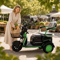 Grand tricycle électrique haute puissance à deux places, tricycle électrique à 3 roues pour adultes