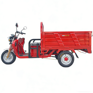 <span class=keywords><strong>Scooter</strong></span> électrique à pneus gras pour adultes personnalisé <span class=keywords><strong>hybride</strong></span> 60V 3000W, tricycle motorisé à <span class=keywords><strong>3</strong></span> <span class=keywords><strong>roues</strong></span> avec cadre - Product Image 3