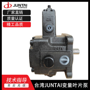 Pompe hydraulique à palettes variables Juntai VPSF-08 en fonte à entraînement électrique - Product Image 5