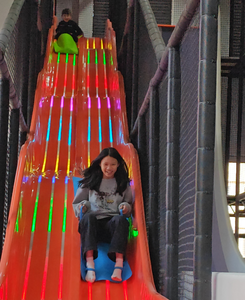 Scivolo Combinato in Acciaio Inossidabile e Plastica per Parco Giochi Asilo Nido, Attrezzatura per Giardino e <span class=keywords><strong>Immobiliare</strong></span>, Dimensioni e Colori Personalizzabili, Ristrutturazione - Product Image 6