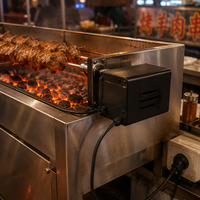 Kit de rôtissoire pour barbecue - 8011 Pro