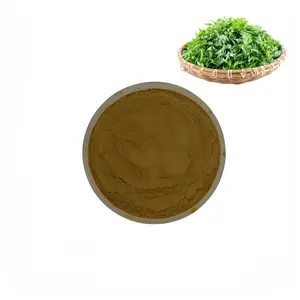 chinese herbal slimming pill mugwort dried powder mugwort leaf Extract powder