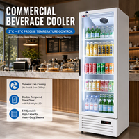 Réfrigérateur commercial à porte vitrée, à refroidissement direct mécanique, en acier inoxydable, à faible niveau sonore, pour la présentation de boissons en magasin