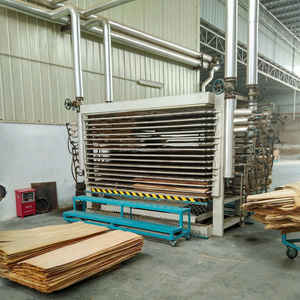 Séchoir industriel pour contreplaqué déshydrateur de traitement pour placage de bois - Product Image 6