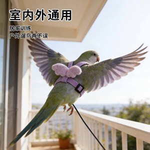 Arnés Ligero para Pájaros y Correa de Vuelo para Exteriores, Cuerda de Paseo para Loros, Correa Suave para Periquitos, Cacatúas y Agapornis - Product Image 3