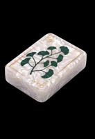 Ensemble de Mahjong Art Déco de Luxe Personnalisé en Gros, Tuiles Nacrées, Motifs Botaniques Paon Ginkgo Joker OEM