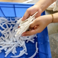 Elektrische transportband multifunctionele groente- en fruitverwerkingsmachine voor het snijden van kokoschips en jong kokosvlees