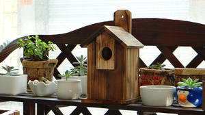 Junji Beste Houten Vogelhuisje Nieuwe Ceder Houten Decoratief Hangend Nest Luxe Moderne Nieuwigheid Gedrukt Patroon Rustiek Houten Vogelhuisje - Product Image 4