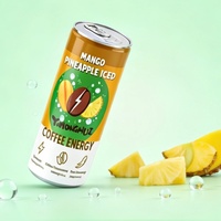 Boisson énergisante glacée à la pastèque et au citron vert OEM Sleek 330ML, concentré de café au ginseng rouge et à la taurine, boisson en conserve certifiée HACCP