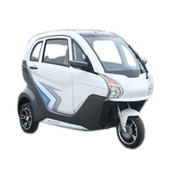 Tricycle électrique EEC 72V 3000W, véhicule à énergie nouvelle pour adultes et familles, parfait comme voiture familiale