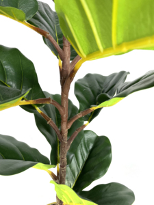 Vente chaude petit pas cher <span class=keywords><strong>prix</strong></span> artificielle leaf fiddle figuier pour les décorations d'intérieur - Product Image 3