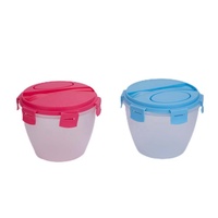 Ensemble de récipients alimentaires pour le rangement de la cuisine boîte à lunch bento récipient de stockage des aliments saladier avec coussin de refroidissement