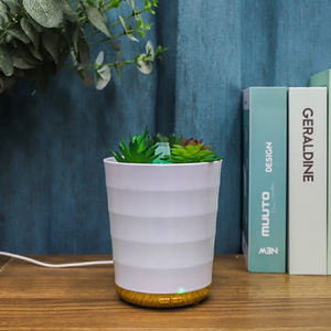 Diffuseur de parfum <span class=keywords><strong>en</strong></span> plastique pour plantes OEM, <span class=keywords><strong>pot</strong></span> de fleurs, diffuseur d'arômes, diffuseur d'huiles essentielles, humidificateur d'air à brume fraîche, <span class=keywords><strong>plante</strong></span> verte - Product Image 2