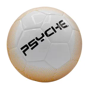 China Factory High Quality Official Size Training PU Soccer Ball Football Size 5 Thermo Bonded