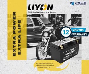 6MF12/6DM14 bonne performance de démarrage vendix démarreur pour yamaha <span class=keywords><strong>yzf</strong></span> <span class=keywords><strong>250</strong></span> <span class=keywords><strong>4t</strong></span> 7ah12v batterie cellule de batterie sèche - Product Image 6