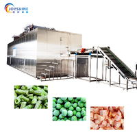 CE-gecertificeerde 300-2000kg IQF tunnelvriezer met fluidized bed voor diepvriesfrieten, groenten & fruit