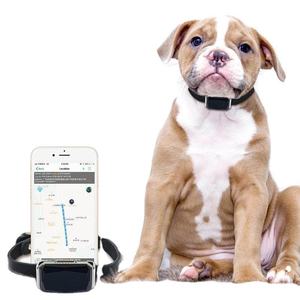 Tompo thời gian thực vị trí báo động sức khỏe bước Lịch Sử Thiết bị theo dõi địa lý hàng rào mèo chó cổ áo 4G GPS Tracker cho vật nuôi - Product Image 1