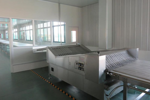 Máquina Automática para Hacer Galletas Shanghai Sien 2024, Línea de Producción Industrial de Galletas - Product Image 2