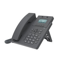 2 comptes SIP, téléphone IP d'entrée de gamme haute performance Proolin-X300/X300E avec écran LCD de 2,3 pouces