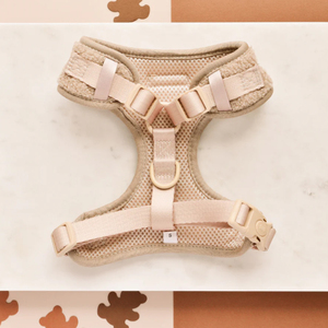 冬の高級ファッション刺繍なしプルパッド入り小型テディ犬ハーネスセットスカーフリーシュ襟うんちバッグホルダーカスタムデザイナー - Product Image 3