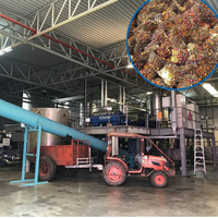 Palmolieverwerkingsmachine met machine voor de extractie van ruwe palmolie, productielijn voor rode palmolie