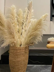 Actinifera Tự Nhiên Reed <span class=keywords><strong>Flower</strong></span> Net Cho Đám Cưới Mềm Ăn Mặc Sắp Xếp Người Nổi Tiếng Bất Hoa Cửa Hàng Trang Trí Hoa Cây - Product Image 4