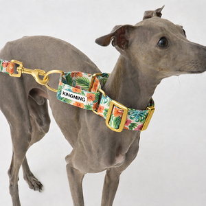 Set Collare e Guinzaglio per Cani Personalizzato in Nylon <span class=keywords><strong>Grigio</strong></span> per Levriero, con Collare da 55mm per Addestramento e Passeggio - Product Image 4
