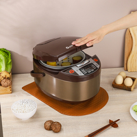 Nouvelle Arrivée Cuiseur à Riz Électrique Intelligent Multifonctionnel Numérique - 4/5L Acier Inoxydable Automatique Portable Appareil de Cuisine