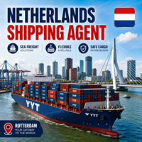 Expédition maritime de la Chine vers les Pays-Bas, livraison express DDP porte-à-porte, transitaire DDP, agent maritime pour les États-Unis