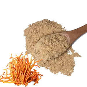 QINSHANTANG ISO GMP fabbrica organico Cordyceps Militaris estratto in polvere integratori Cordyceps Sinensis estratto in polvere - Product Image 1