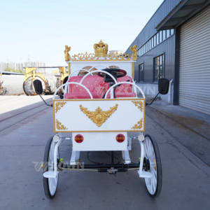 รถม้าไฟฟ้าสีขาว รุ่นใหม่ ขายดี รถม้าไฟฟ้าแบบดั้งเดิม รถม้าไฟฟ้าสำหรับขาย - Product Image 6