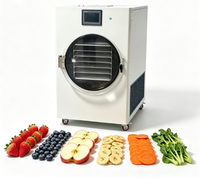 Batch Mini Vriesdroger Kleine Vacuüm Vriesdroger Voedsel Lyofilisator Kleine Vriesdroogmachine